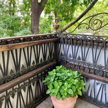с балконом в центре города Odessa